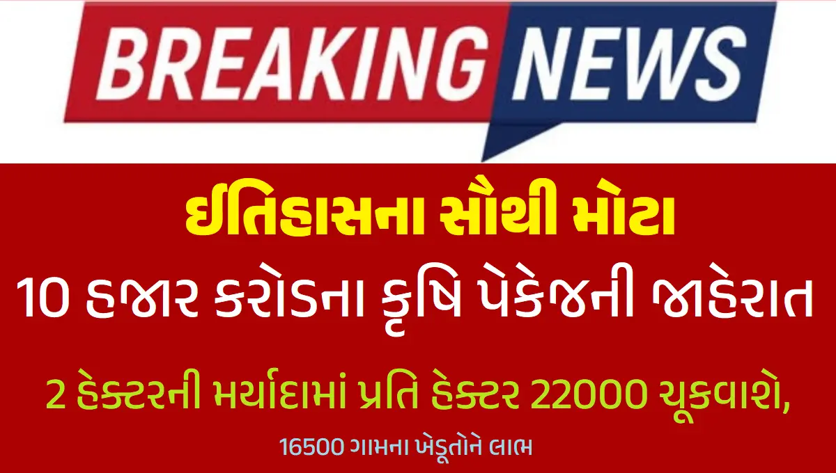 ગુજરાત સરકારે 10000 કરોડનું રાહત પેકેજ જાહેર કર્યું